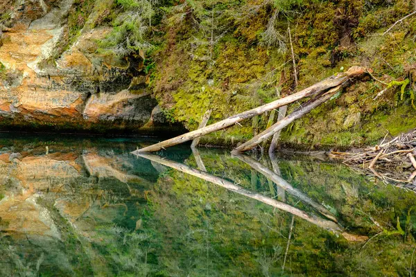 Falésias Arenito Margem Rio Florestal Gauja Letónia — Fotografia de Stock