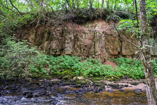 Falésias Arenito Margem Rio Florestal Gauja Letónia — Fotografia de Stock