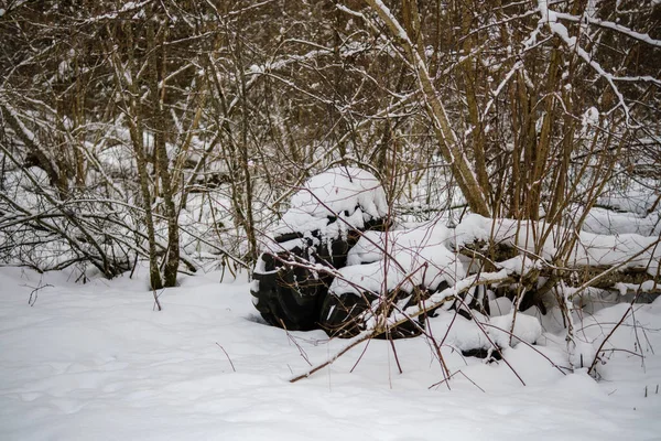 Bosque Mágico Invierno Con Árboles Bajo Cubierta Nieve Día Soleado — Foto de Stock
