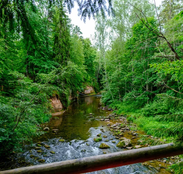 Kleiner Flusslauf Sommergrünen Wald Mit Felsen Und Niedrigem Wasser — Stockfoto
