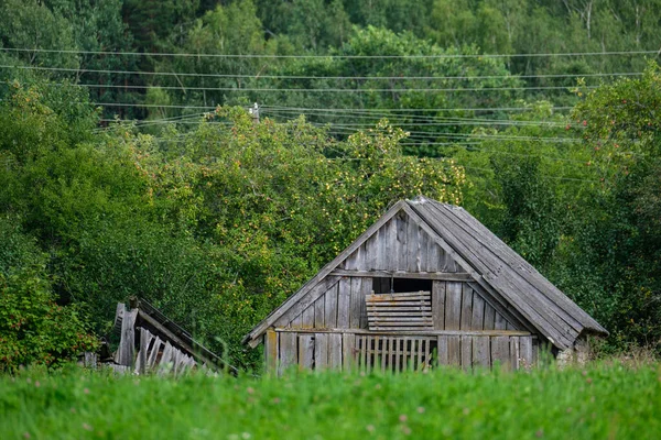 Venkovský Dům Zahrada Dvorek Létě Starými Budovami Dekorace Plotem Keři — Stock fotografie