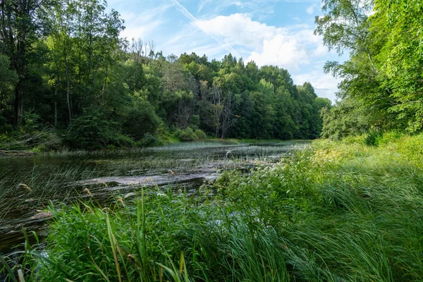Rivière Forêt Lente Été Bois Vert Avec Des Roches Dans — Photo