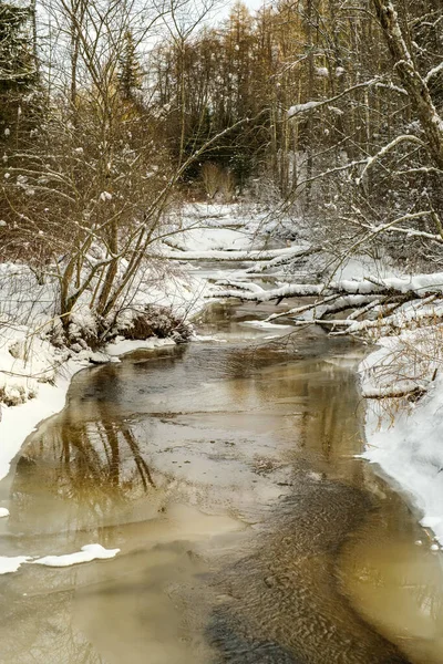 Vista Congelada Del Río Bosque Con Hielo Nieve Agua Marrón — Foto de Stock