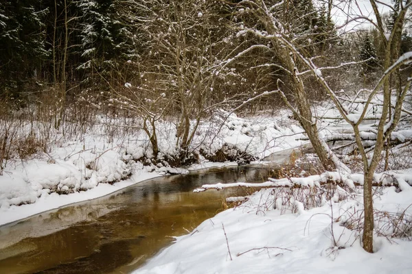 Vista Congelada Del Río Bosque Con Hielo Nieve Agua Marrón — Foto de Stock