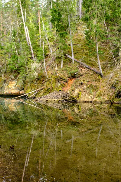 ラトビアのゴジャ川の岸にある砂岩の崖 — ストック写真