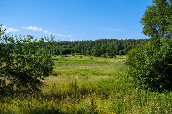 Landschap Met Groene Weide Blauwe Lucht Erboven Eenvoudig Platteland — Stockfoto