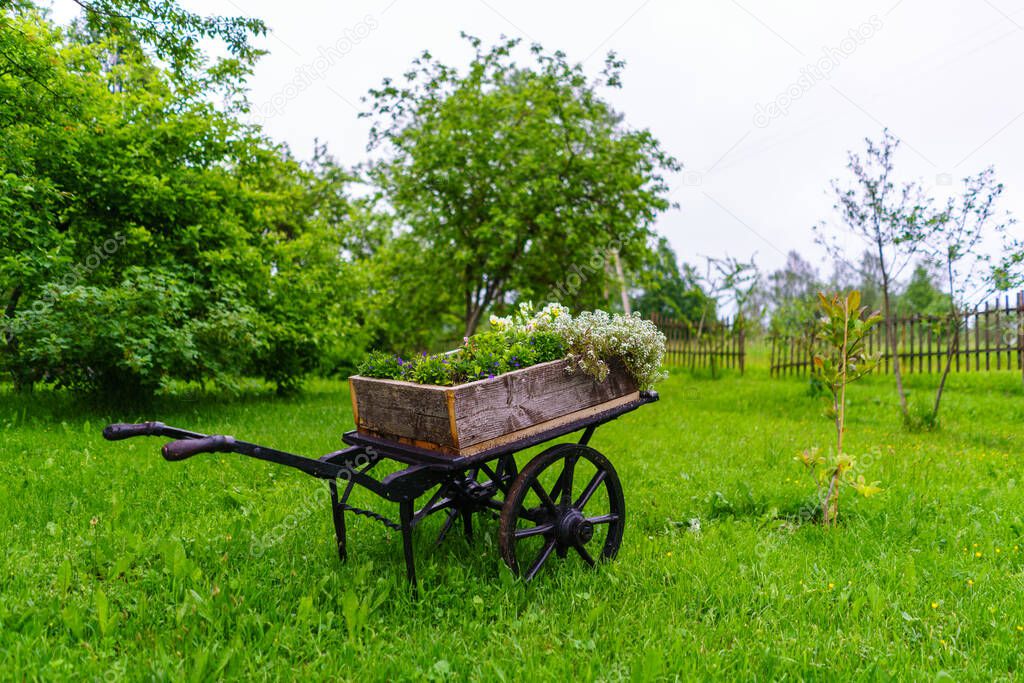 countryside house garden backyard in summer with old buildings and decorations with fence and bushes