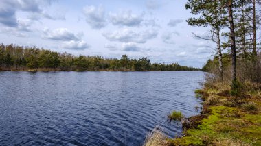 Suyun yanındaki ağaçlar mavi gökyüzü yüzeyde yansıyor