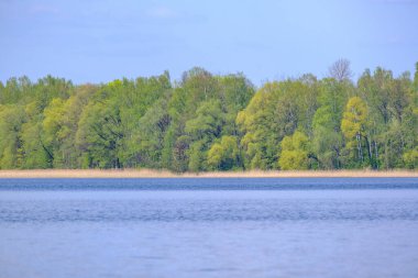 Geniş nehir manzarası geniş su kütlesi, gökyüzünün mavi yansımaları ve arka planda yeşil ağaçlar.