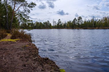 Suyun yanındaki ağaçlar mavi gökyüzü yüzeyde yansıyor
