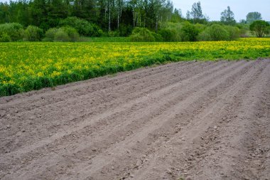 Küçük tarla tarlası. Saban izleri ekime hazır.