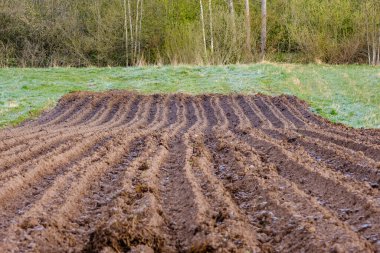 Küçük tarla tarlası. Saban izleri ekime hazır.