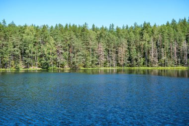 Geniş nehir manzarası geniş su kütlesi, gökyüzünün mavi yansımaları ve arka planda yeşil ağaçlar.