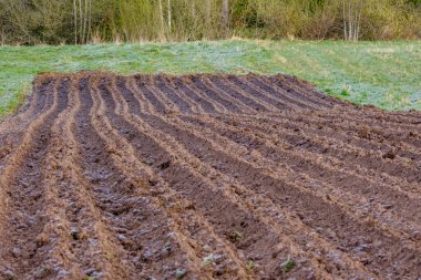 Küçük tarla tarlası. Saban izleri ekime hazır.