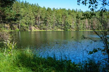 Suyun yanındaki ağaçlar mavi gökyüzü yüzeyde yansıyor