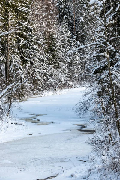 Textura Escena Del Bosque Invierno Árboles Cubiertos Nieve Día Soleado — Foto de Stock