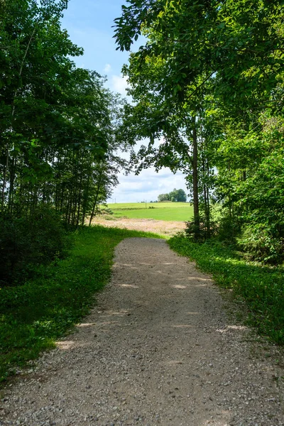 Çakıl Taşı Yüzeyi Yeşil Yaprakları Olan Dar Kırsal Orman Yolu — Stok fotoğraf