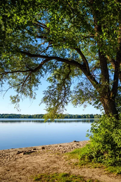 Широка Річкова Пейзажна Сцена Великим Водоймою Блакитні Відображення Неба Зелених — стокове фото