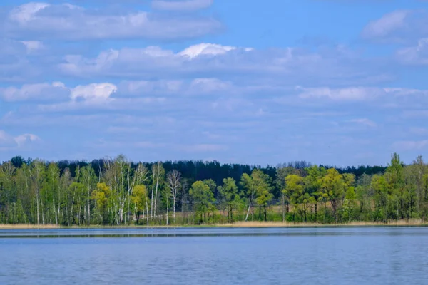 Широка Річкова Пейзажна Сцена Великим Водоймою Блакитні Відображення Неба Зелених — стокове фото