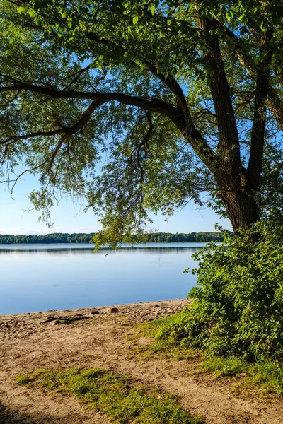 大きな水と青い空と緑の木々を背景にした広い川の風景 — ストック写真