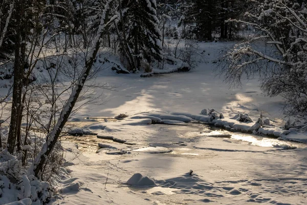 Textura Cena Floresta Inverno Árvores Cobertas Neve Dia Ensolarado — Fotografia de Stock