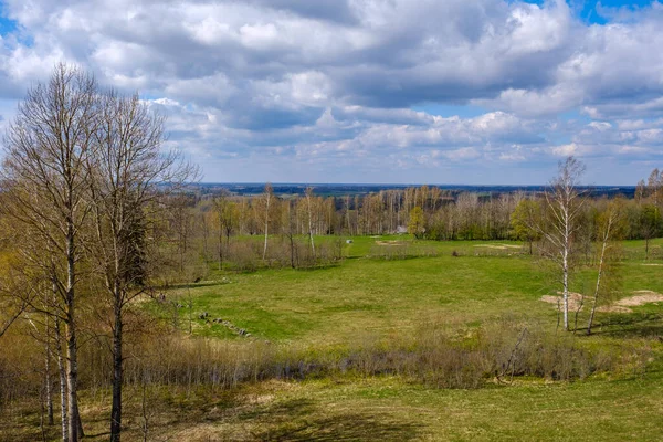 Spring Summer Fields Countryside Forest Background Green Grass — Stock Photo, Image