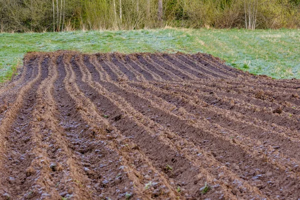 Small Agriculture Field Plow Marks Ready Planting — Stock Photo, Image