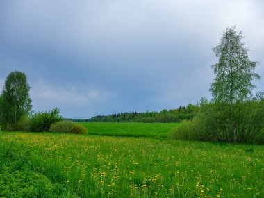 Kırsal alanlarda ve yaz aylarında yeşil yapraklar ve sarı çiçeklerle dağılmış yaz bulutları.