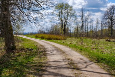 Yazın yeşil parktaki turizm yolunda çakıl, ahşap raylar ve ağaçlar var. Doğada rahatlama