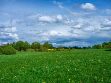 Kırsal alanlarda ve yaz aylarında yeşil yapraklar ve sarı çiçeklerle dağılmış yaz bulutları.