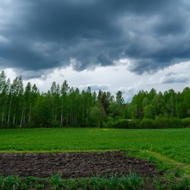 Kırsal alanlarda ve yaz aylarında yeşil yapraklar ve sarı çiçeklerle dağılmış yaz bulutları.