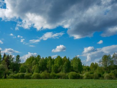 Kırsal alanlarda ve yaz aylarında yeşil yapraklar ve sarı çiçeklerle dağılmış yaz bulutları.