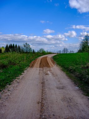 Yazın yeşil parktaki turizm yolunda çakıl, ahşap raylar ve ağaçlar var. Doğada rahatlama