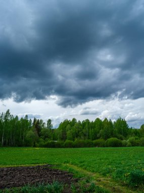 Kırsal alanlarda ve yaz aylarında yeşil yapraklar ve sarı çiçeklerle dağılmış yaz bulutları.