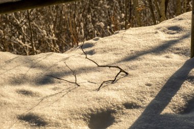 Ormanın yakınında kışın karla kaplı tarlalar. Koyu karlı ortam resmi