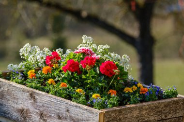 Dekoratif bitki ayrıntıları dairede büyüyor. Pencerenin iç kısmında beyaz