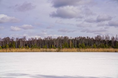 Ormanın yakınında kışın karla kaplı tarlalar. Koyu karlı ortam resmi