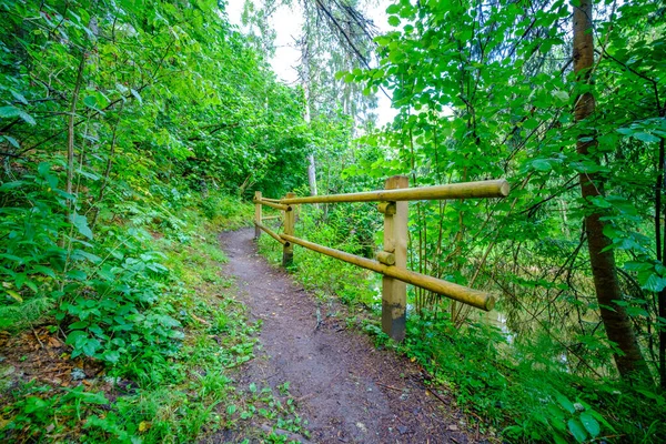 tourism pathway in the summer green park with gravel, wooden rails and trees. relaxation in nature