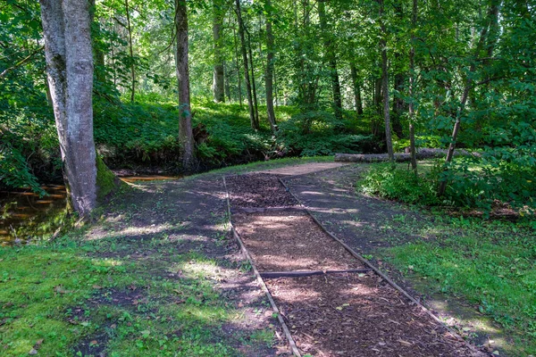 tourism pathway in the summer green park with gravel, wooden rails and trees. relaxation in nature