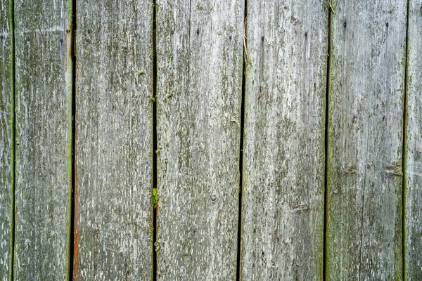 Old Wooden Plank Wall Covered Moss Green Shade —  Fotos de Stock