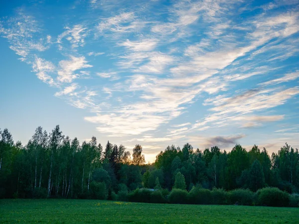 Nuages Été Brisés Sur Les Champs Les Prairies Campagne Été — Photo