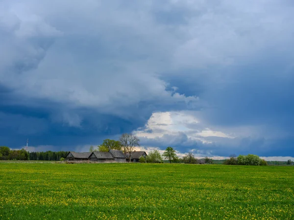 Gebrochene Sommerwolken Über Feldern Und Wiesen Sommer Mit Gelben Blüten — Stockfoto