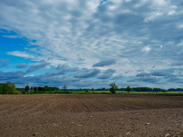 Brutna Sommarmoln Över Åkrar Och Ängar Landsbygden Sommaren Med Gula — Stockfoto