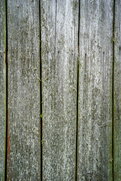 Old Wooden Plank Wall Covered Moss Green Shade — Stock Photo, Image