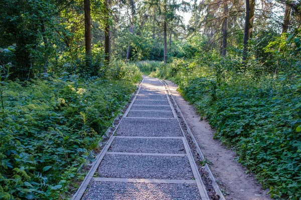 Toeristische Route Zomer Groen Park Met Grind Houten Rails Bomen — Stockfoto