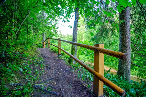 tourism pathway in the summer green park with gravel, wooden rails and trees. relaxation in nature