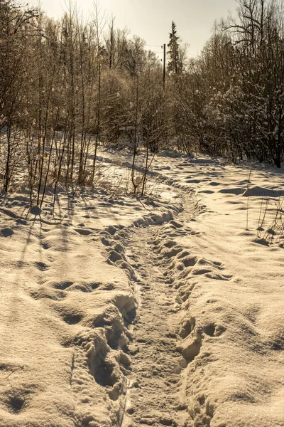 Borította Mezők Télen Erdő Közelében Sötét Havas Környezeti Kép — Stock Fotó