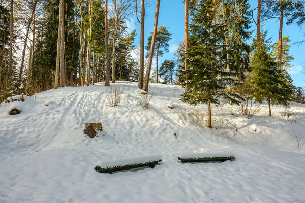tourist trail in winter snow with boot tracks and steps