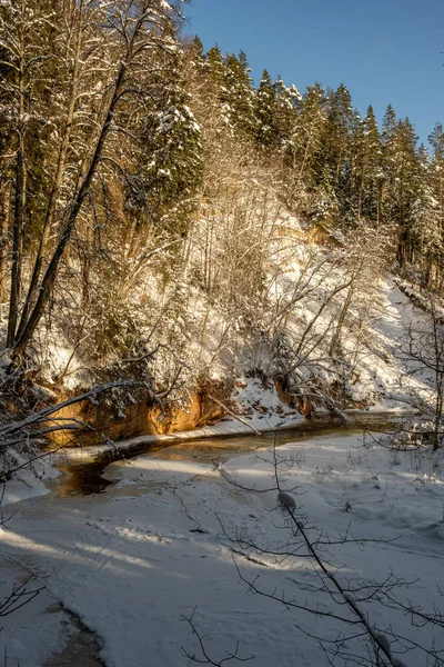 Schnee Bedeckte Felder Winter Der Nähe Von Wald Dunkelschneebedecktes Umgebungsbild — Stockfoto