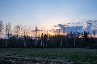 Yazlık kırsal alanlar ve üzerinde mavi gökyüzü olan ormanlar. Basit manzara